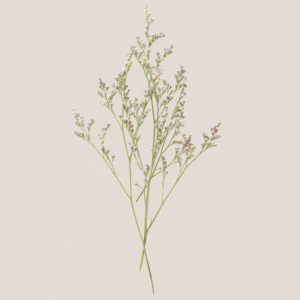 Single session - standard rate